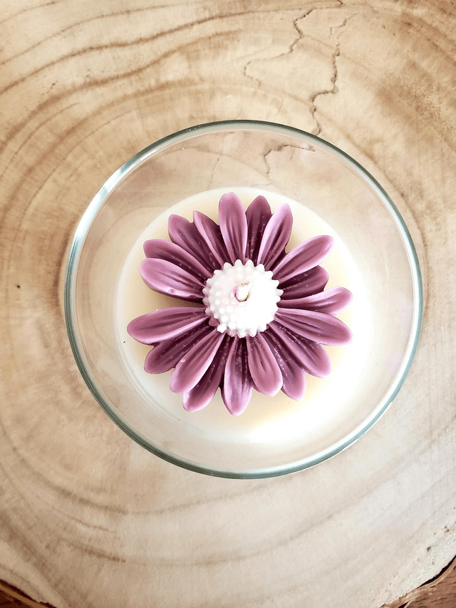 Bougie Fleur Marguerite | Cloche en verre