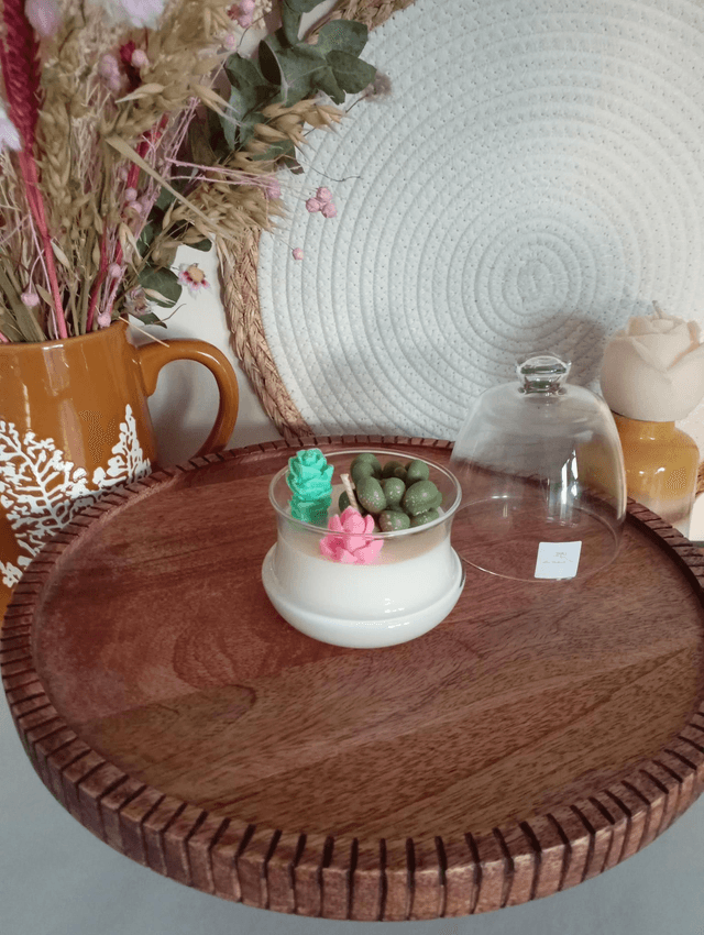 Bougie Cactus | Cloche en verre 