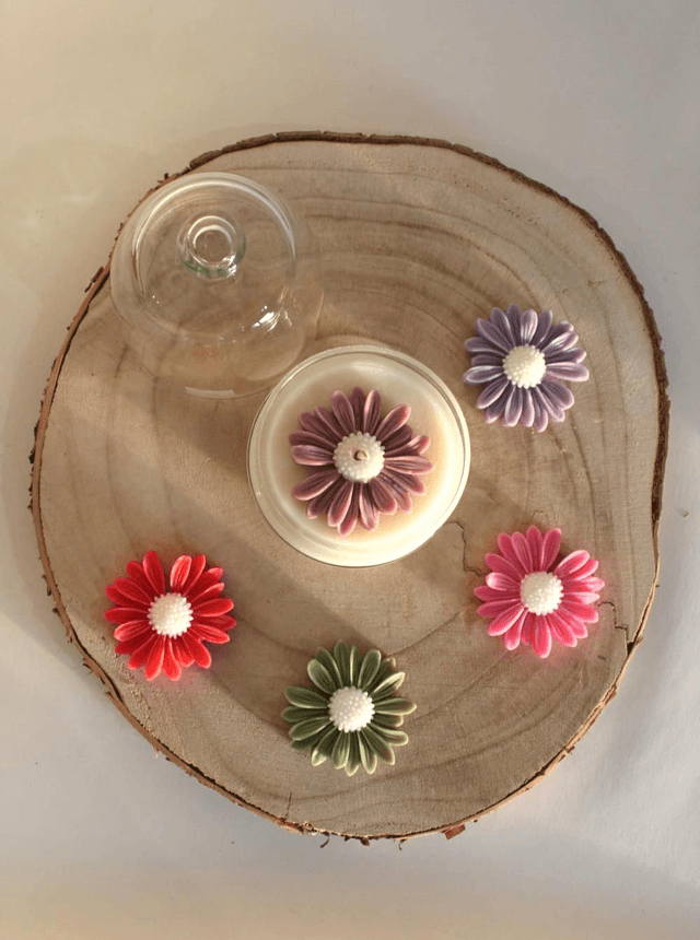 Bougie Fleur Marguerite | Cloche en verre
