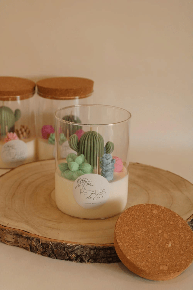 Bougie Cactus 🌵 