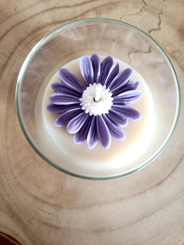 Bougie Fleur Marguerite | Cloche en verre