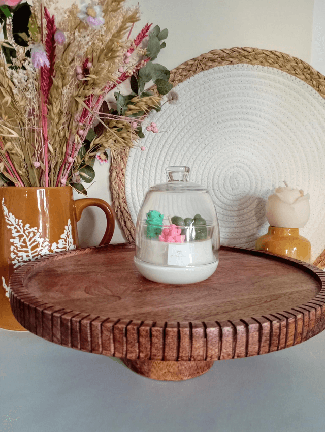 Bougie Cactus | Cloche en verre 